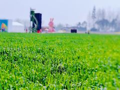 -中国天府农业博览园