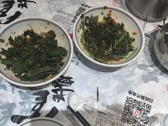 -壹盏灯(惠农店)