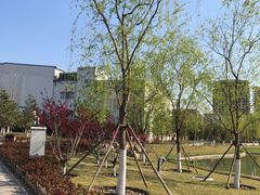 -西海子公园