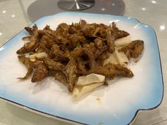 -姚林轩