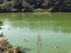 -永泰中国云顶
