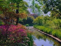 -上海共青森林公园