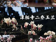 -潭柘寺景区