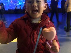 -芜湖新华联大白鲸海洋公园