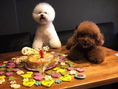 -百好乐宠物友好餐厅(朝外大街店)