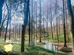 -杭州植物园