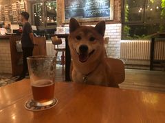 -Arrow Factory Brewing箭厂啤酒