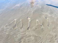 -自由港KTV(王子公主金平店)