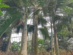 -南山植物园