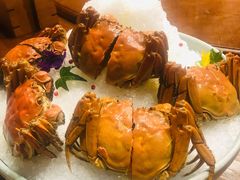 -荷风细雨·中国茶宴(碧云店)