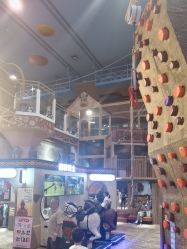 -卡通尼·Safari非洲探索乐园·生日会(金桥国际商业广场店)