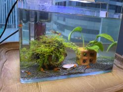 -美肌工坊皮肤管理