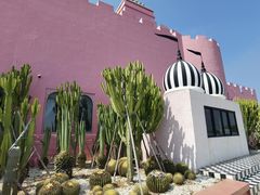 -漳州滨海火山岛自然生态风景区