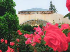 -武汉园博园(武汉自然博物馆)