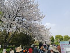 -堤角公园