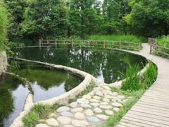 -成都市活水公园