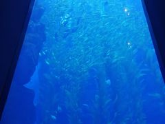 -南昌融创海世界
