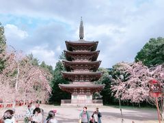 -醍醐寺