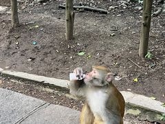 -黔灵山公园