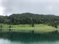 -武陵山森林公园