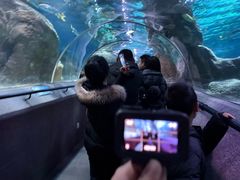 -大连圣亚海洋世界