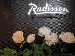 -天津水游城丽筠酒店