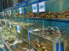 水产区-锦里海景海鲜餐厅.三亚老字号(亚龙湾中心广场店)