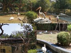 -熊猫自助餐厅.萌趣城堡(长隆熊猫酒店)