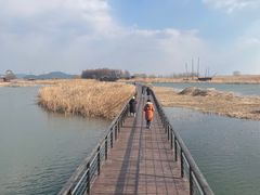 -苏州太湖湖滨国家湿地公园