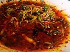 -院8里·小聚园老川菜(九眼桥店)