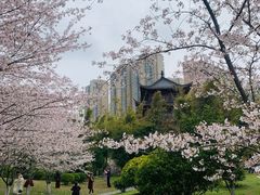 -堤角公园