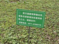 -杭州植物园