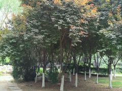 -长安大学(北校区)