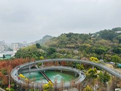 -福道