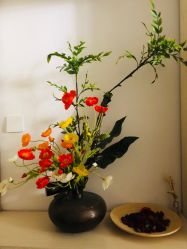 -酉嘉瑜伽YO+YOGA