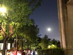 -鸿恩陶然大观园
