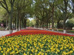 -上海鲜花港
