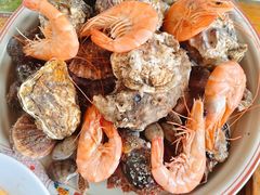 -单家老院·院子里的青岛菜(沙子口店)
