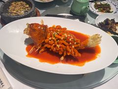 -西湖春天•老字号杭州菜(百汇店)