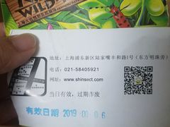 -上海大自然野生昆虫馆(东方明珠·爬宠昆虫探索中心)