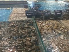 -徐记海鲜(梅溪新天地店)