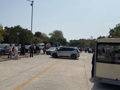 -广东惠东海龟国家级自然保护区