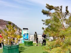 -京东石林峡风景区