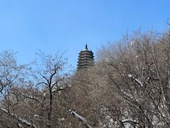 -高尔山公园