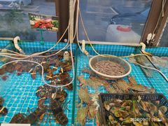 -渡海小渔村.老辈日照菜