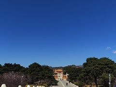 -清西陵