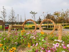 -嘉北郊野公园