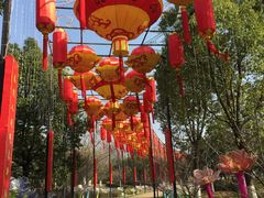 -武汉园博园(武汉自然博物馆)