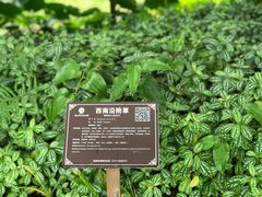-广西壮族自治区药用植物园