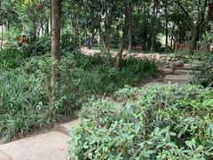 -成都市活水公园